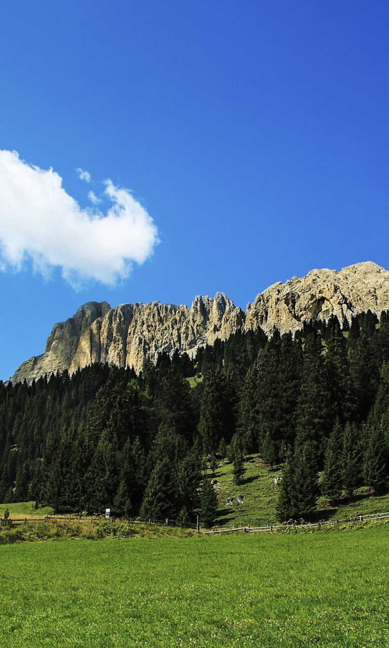 Screenshot №1 pro téma Summer Day in Forest Mountains 768x1280