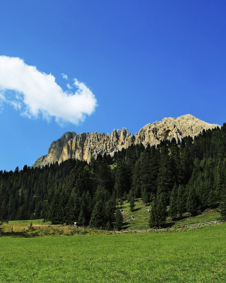 Summer Day in Forest Mountains - Obrázkek zdarma pro Nokia 5233
