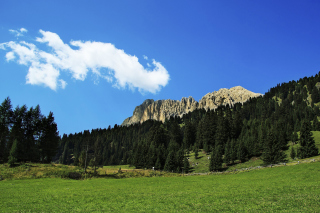 Summer Day in Forest Mountains - Obrázkek zdarma pro HTC Desire