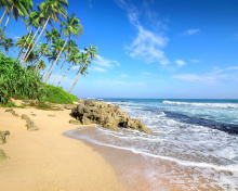 Обои Caribbean Best Tropic Beach Magens Bay Virgin Islands 220x176