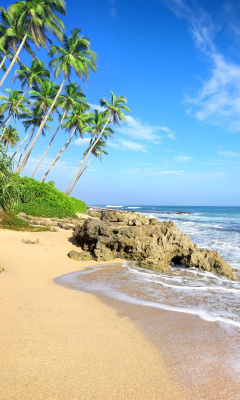 Caribbean Best Tropic Beach Magens Bay Virgin Islands wallpaper 240x400