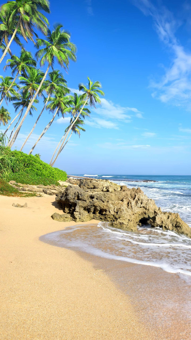 Das Caribbean Best Tropic Beach Magens Bay Virgin Islands Wallpaper 640x1136