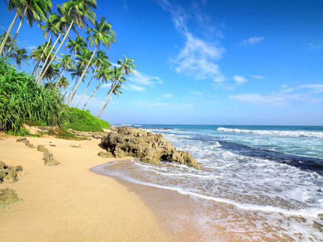 Обои Caribbean Best Tropic Beach Magens Bay Virgin Islands 640x480