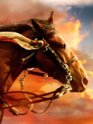 Das Horse HD Wallpaper 132x176