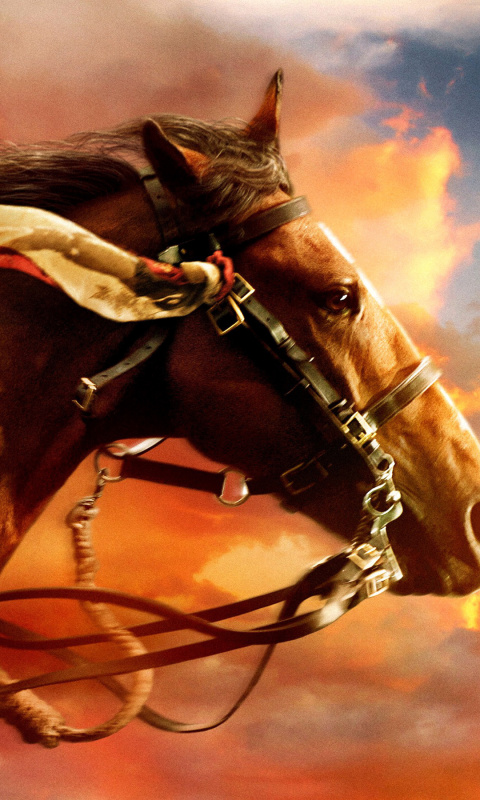 Horse HD wallpaper 480x800