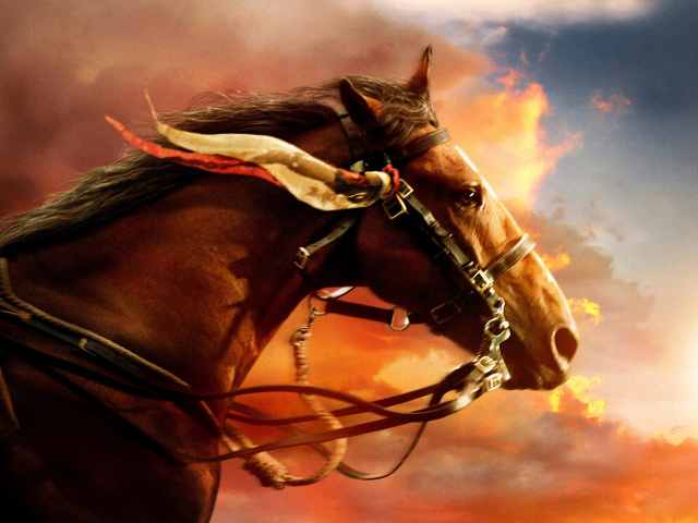 Horse HD wallpaper 640x480