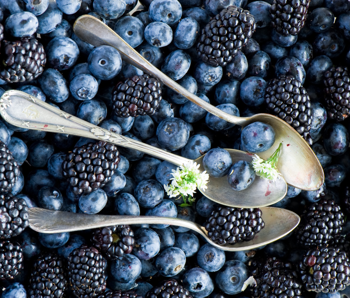 Das Blueberries And Blackberries Wallpaper 1200x1024