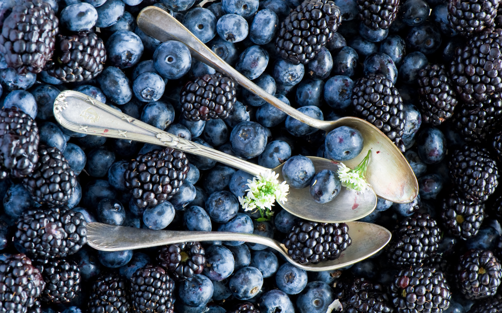 Sfondi Blueberries And Blackberries 1680x1050