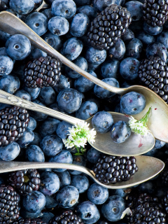 Обои Blueberries And Blackberries 240x320