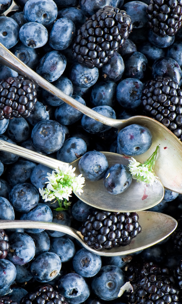 Blueberries And Blackberries wallpaper 768x1280