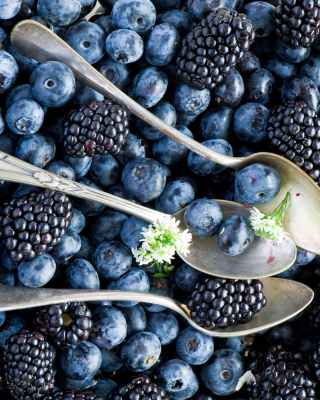 Blueberries And Blackberries - Obrázkek zdarma pro 480x640