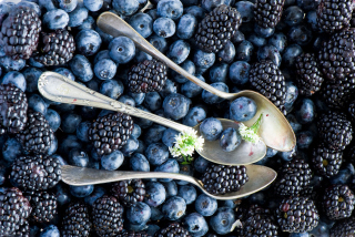 Blueberries And Blackberries - Obrázkek zdarma 