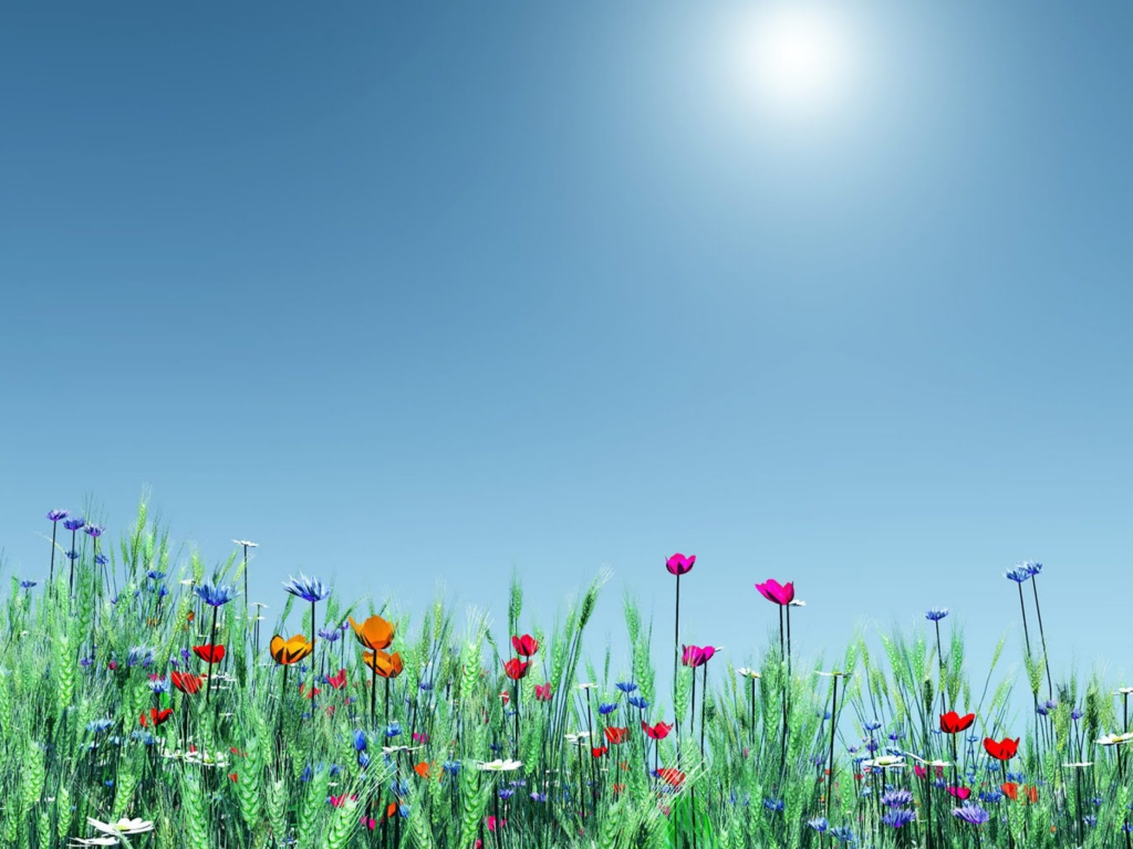 Screenshot №1 pro téma Spring Flowers 1024x768