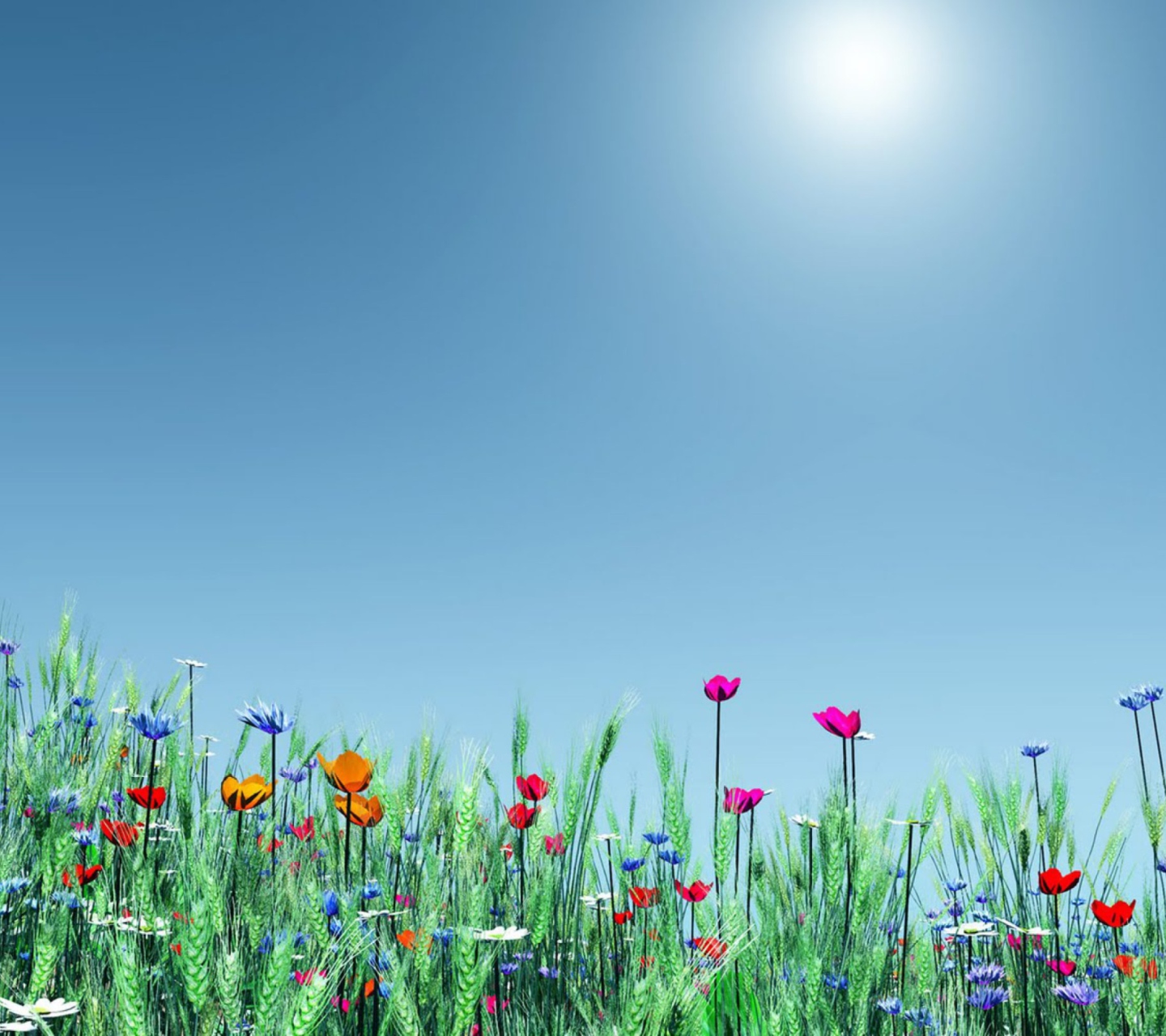 Sfondi Spring Flowers 1440x1280