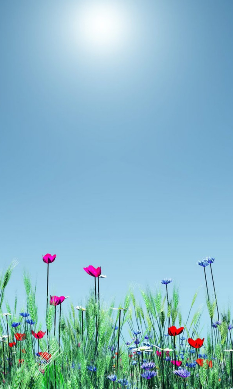 Screenshot №1 pro téma Spring Flowers 768x1280