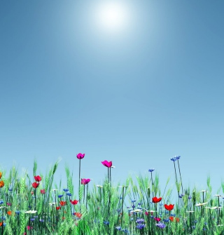 Spring Flowers - Obrázkek zdarma pro iPad 3