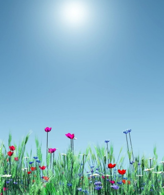 Spring Flowers - Obrázkek zdarma pro 240x400