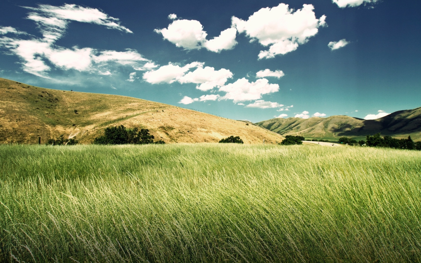 Green Valley screenshot #1 1440x900