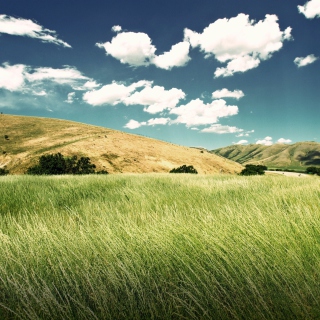 Free Green Valley Picture for iPad Air
