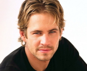 Screenshot №1 pro téma Paul Walker 176x144