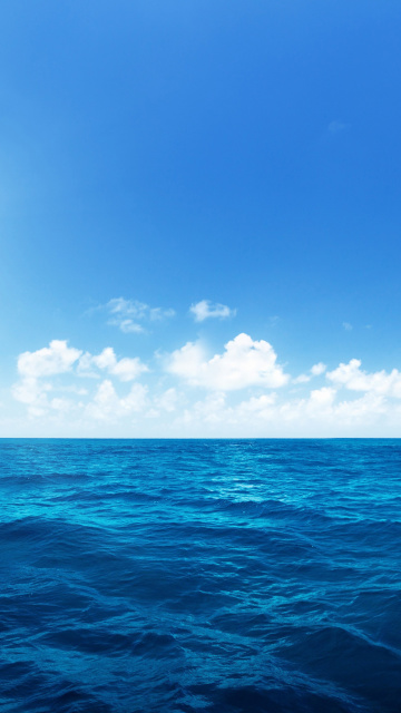 Ocean in Tropics wallpaper 360x640