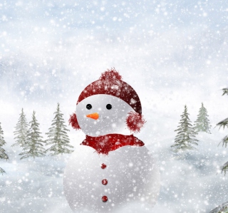 Обои Snowman In Snow на iPad 3