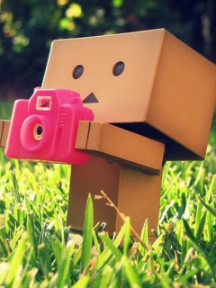 Sfondi Danbo Is A Photographer 240x320