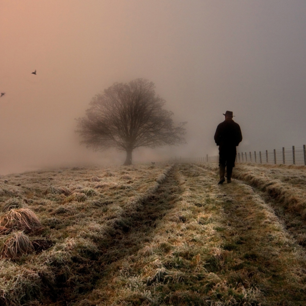 Lonely Man Walking In Field wallpaper 1024x1024
