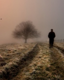 Lonely Man Walking In Field wallpaper 128x160