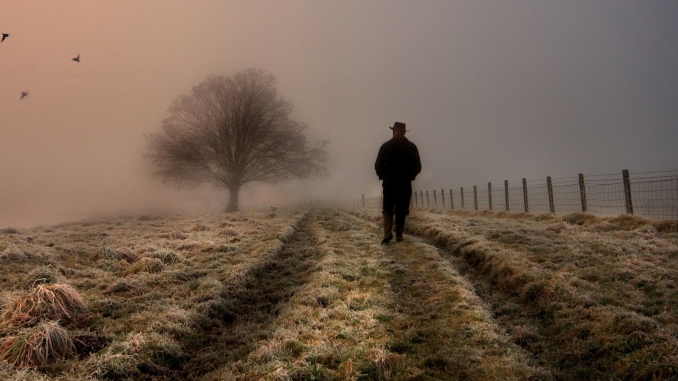 Обои Lonely Man Walking In Field 1366x768