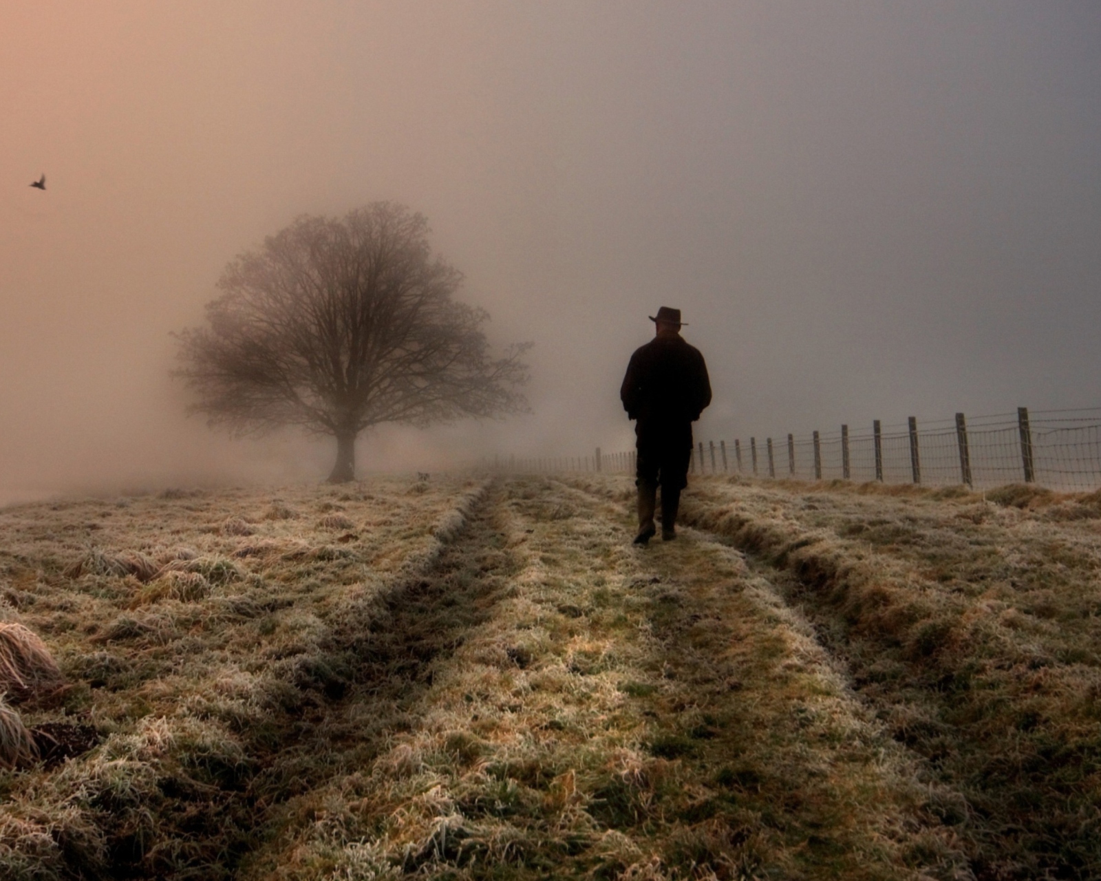 Sfondi Lonely Man Walking In Field 1600x1280