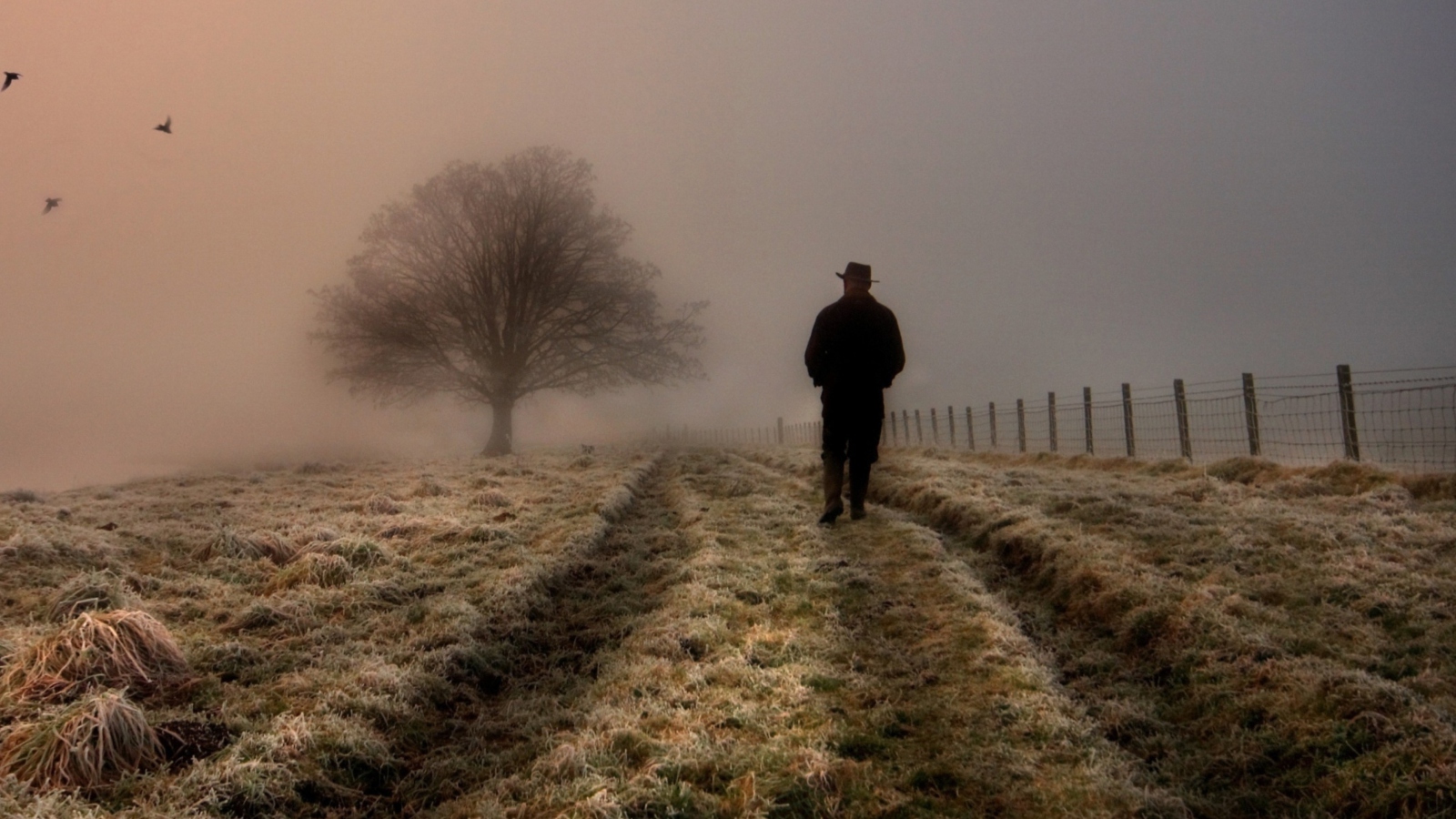 Sfondi Lonely Man Walking In Field 1600x900