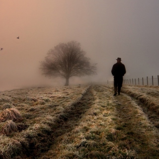 Kostenloses Lonely Man Walking In Field Wallpaper für iPad