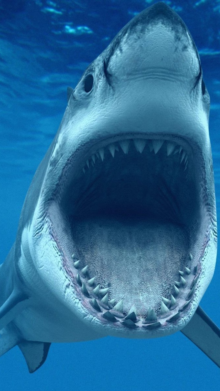 Great White Sharks screenshot #1 750x1334