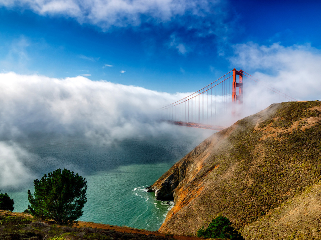 Sfondi Golden Gate Bridge in Fog 1024x768