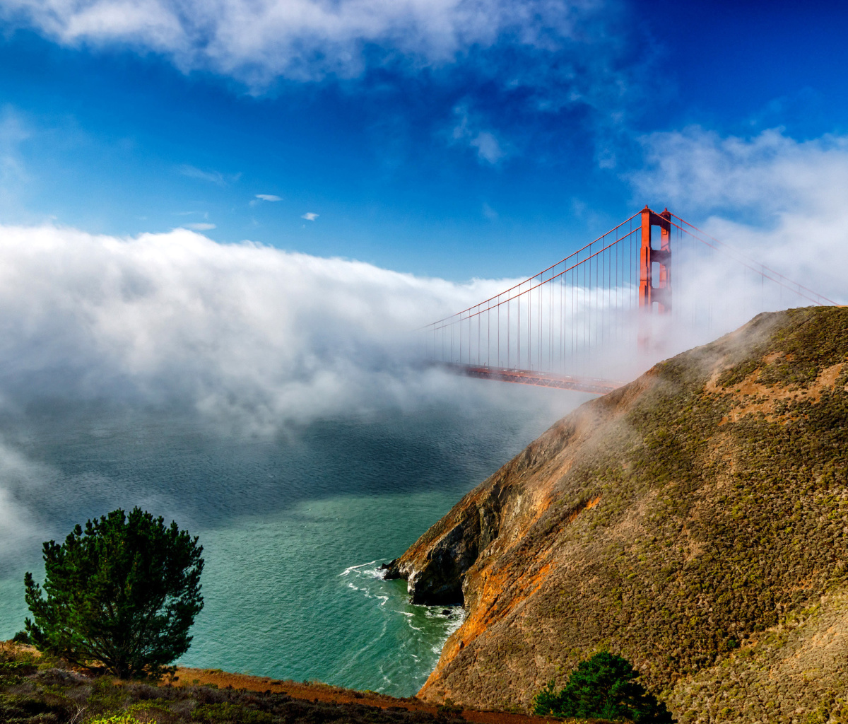 Screenshot №1 pro téma Golden Gate Bridge in Fog 1200x1024