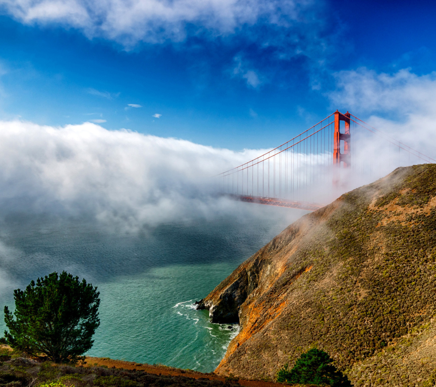 Golden Gate Bridge in Fog wallpaper 1440x1280