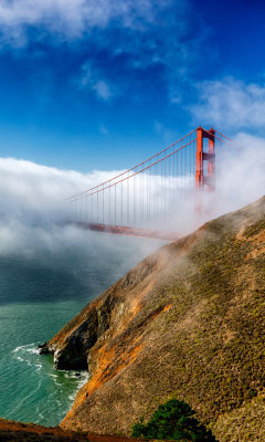 Golden Gate Bridge in Fog wallpaper 240x400