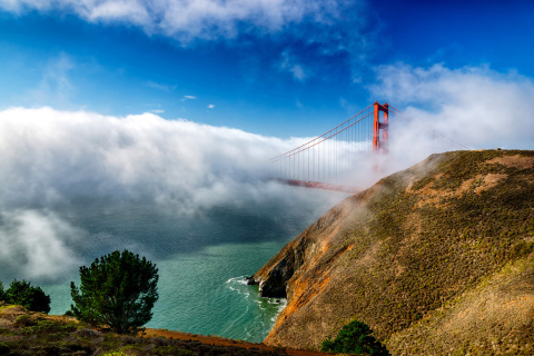 Golden Gate Bridge in Fog wallpaper 480x320