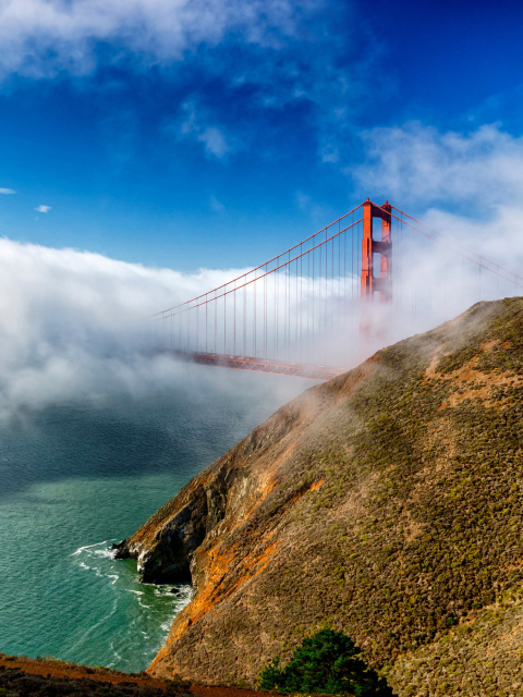 Golden Gate Bridge in Fog wallpaper 480x640