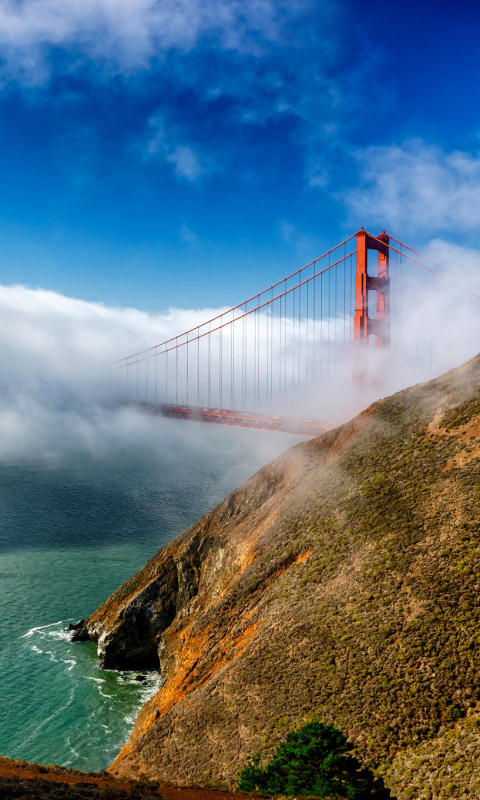 Golden Gate Bridge in Fog wallpaper 480x800