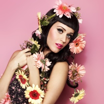 Fondo de pantalla Katy Perry - The One That Got Away 208x208