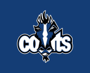 Sfondi Indianapolis Colts Logo 176x144
