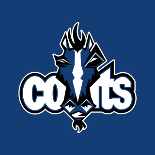 Kostenloses Indianapolis Colts Logo Wallpaper für iPad mini