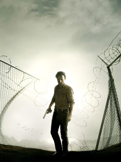 Das The Walking Dead, Andrew Lincoln Wallpaper 480x640