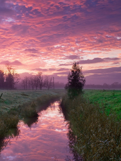 Cold Morning Pink Sky wallpaper 240x320