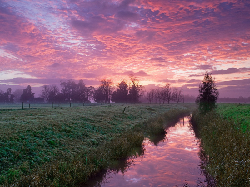 Screenshot №1 pro téma Cold Morning Pink Sky 800x600