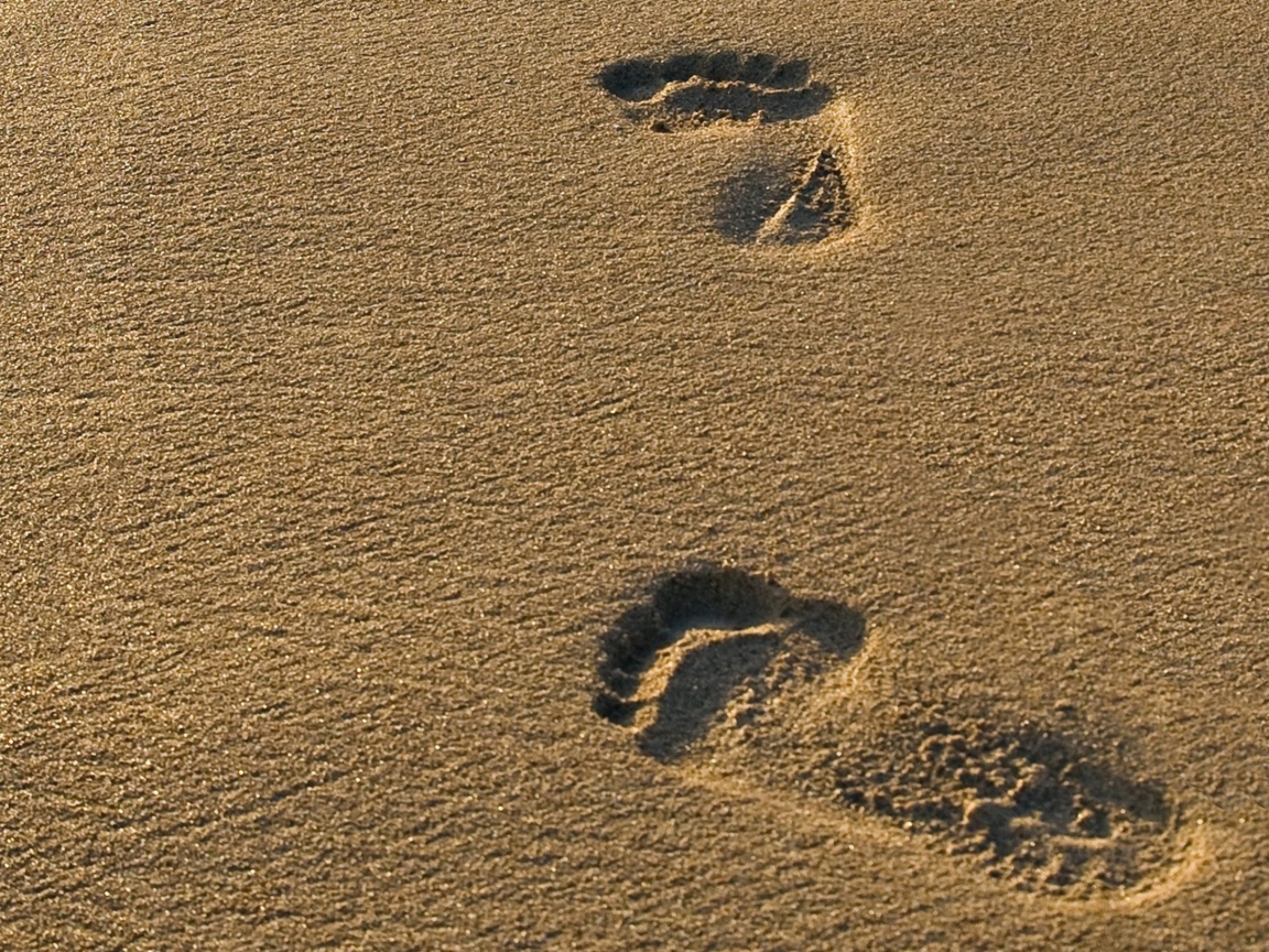 Screenshot №1 pro téma Footprints On Sand 1152x864