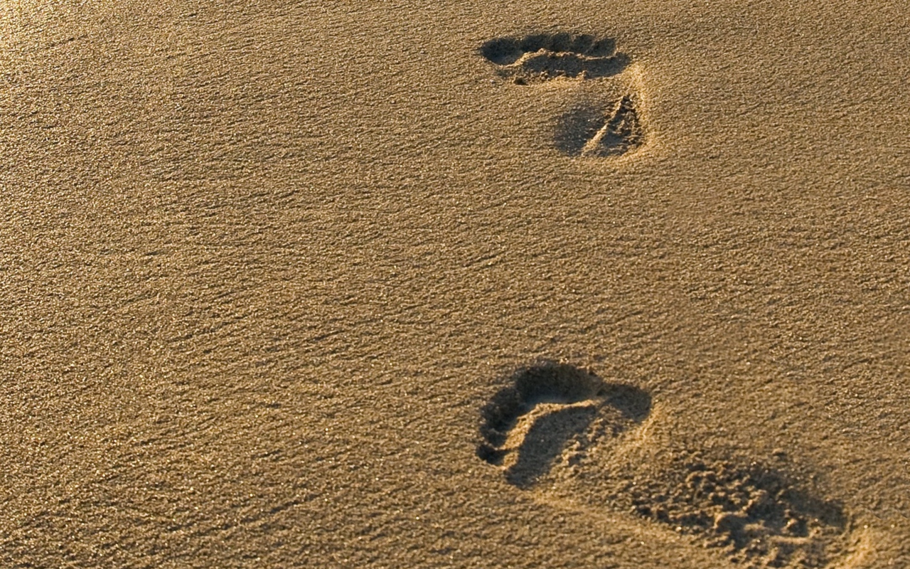 Screenshot №1 pro téma Footprints On Sand 1280x800
