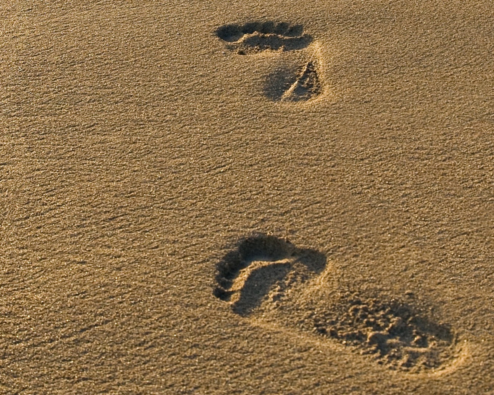 Screenshot №1 pro téma Footprints On Sand 1600x1280